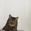 фотография Анна Овсянкина фотография Анна Овсянкина