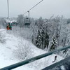 фотография Таисия Незлобина фотография Таисия Незлобина