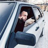 фото Кирилл Александров фото Кирилл Александров