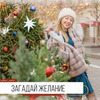 реклама в блоге Айрин Дейтс реклама в блоге Айрин Дейтс