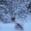 реклама в блоге Наталья Бочкарева реклама в блоге Наталья Бочкарева