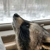 разместить рекламу в блоге Тёма Енот разместить рекламу в блоге Тёма Енот