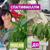 реклама на блоге zacvetet реклама на блоге zacvetet