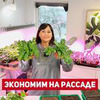 реклама у блогера zacvetet реклама у блогера zacvetet