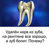 реклама в блоге Лилия Кузьменкова реклама в блоге Лилия Кузьменкова