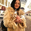реклама в блоге wowmarkova реклама в блоге wowmarkova