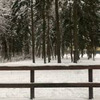 фото на странице Инна Богомолова фото на странице Инна Богомолова
