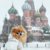 реклама на блоге Марина Орлова реклама на блоге Марина Орлова