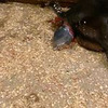 заказать рекламу у блогера kretakreta заказать рекламу у блогера kretakreta