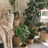 разместить рекламу в блоге aliya_home разместить рекламу в блоге aliya_home