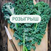 фотография Елена Орлова фотография Елена Орлова