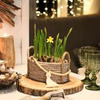 фотография forest_fairy_home фотография forest_fairy_home