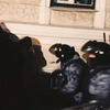 фотография Алексей Банкес фотография Алексей Банкес