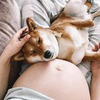 фото Марина Дворникова фото Марина Дворникова