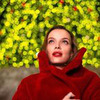 реклама в блоге Евгения Мовчан реклама в блоге Евгения Мовчан