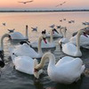 фото на странице Виктория Смирнова фото на странице Виктория Смирнова