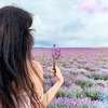 фотография Роза rouz.z фотография Роза rouz.z