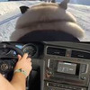 фотография Василий pug_leonid фотография Василий pug_leonid