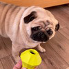лучшие фото Василий pug_leonid лучшие фото Василий pug_leonid