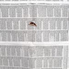 новое фото Арина arina_iz_magazina новое фото Арина arina_iz_magazina