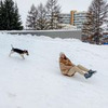лучшие фото Арина arina_iz_magazina лучшие фото Арина arina_iz_magazina