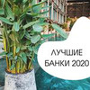 реклама в блоге Александра alekscurl реклама в блоге Александра alekscurl