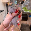 новое фото milidochka новое фото milidochka