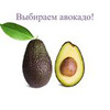 реклама на блоге Светлана Фус реклама на блоге Светлана Фус