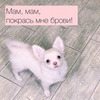 реклама в блоге Варвара Табу реклама в блоге Варвара Табу