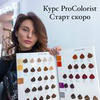 разместить рекламу в блоге Елена Ерчева разместить рекламу в блоге Елена Ерчева