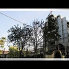 новое фото Владислав Витенко новое фото Владислав Витенко