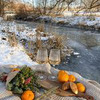 реклама на блоге Марина Ковалева реклама на блоге Марина Ковалева