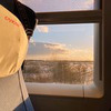 фотография Колючка фотография Колючка
