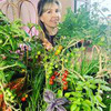 фотография urozhainyi_ogorod фотография urozhainyi_ogorod
