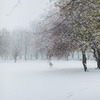 фотография Юрий Форрат фотография Юрий Форрат