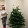 реклама в блоге Леся Пентий реклама в блоге Леся Пентий