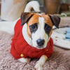 новое фото Татьяна Tanysolovey новое фото Татьяна Tanysolovey