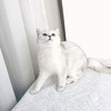 реклама в блоге Алина Home_is реклама в блоге Алина Home_is