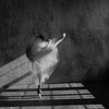 новое фото Станислава Постнова новое фото Станислава Постнова