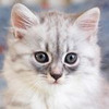 фотография Марианна Рубинова фотография Марианна Рубинова