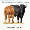 заказать рекламу у блогера Лана Казновская заказать рекламу у блогера Лана Казновская