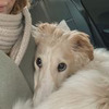 новое фото Альберта Ушакова новое фото Альберта Ушакова