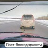 заказать рекламу у блогера barnaul22.official заказать рекламу у блогера barnaul22.official