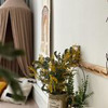 фотография Светлана lizona_mama фотография Светлана lizona_mama