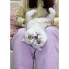 реклама на блоге Sonya Cat реклама на блоге Sonya Cat