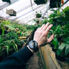 разместить рекламу в блоге Илья Воробьев разместить рекламу в блоге Илья Воробьев