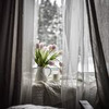 лучшие фото svetachok лучшие фото svetachok