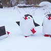 новое фото Марина Кера новое фото Марина Кера