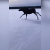фотография Глеб Корнилов фотография Глеб Корнилов