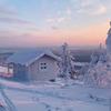 реклама в блоге Айгуль Вишня реклама в блоге Айгуль Вишня